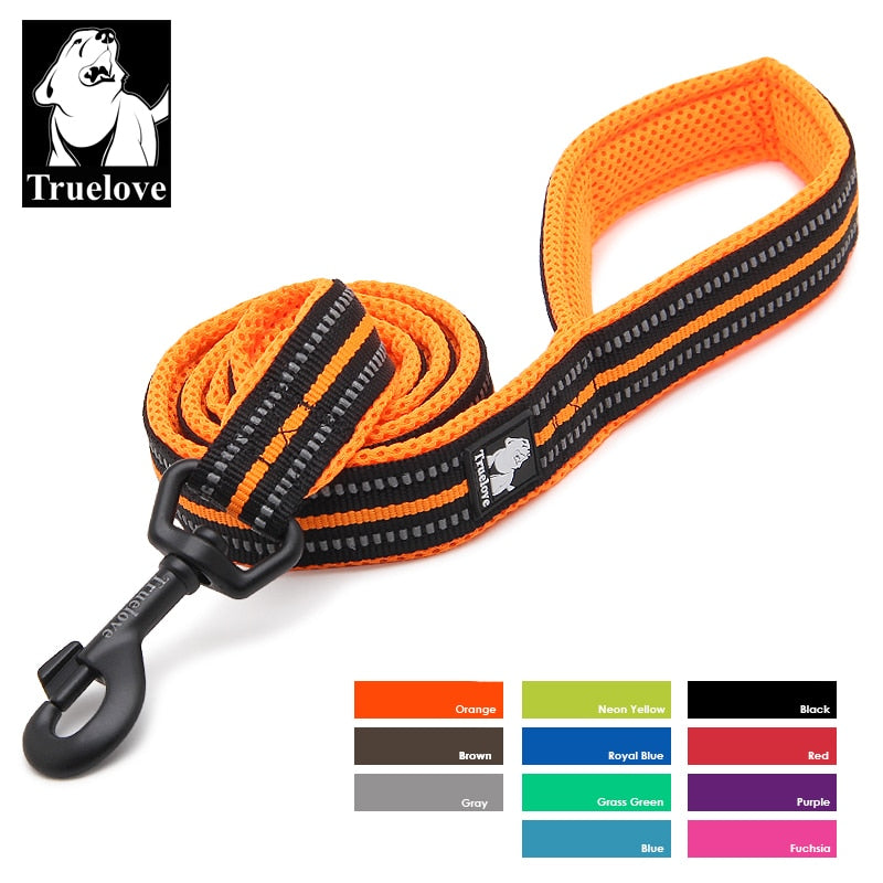 Them Ropes // Reflective rope leash in neon (Glow) - Hunnishop