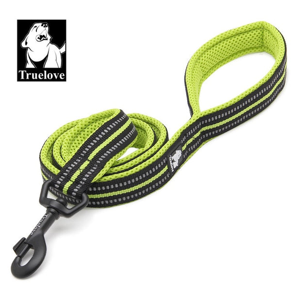 Nylon Reflective Leash