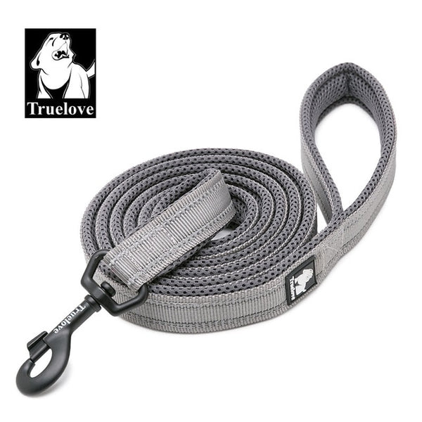 Nylon Reflective Leash