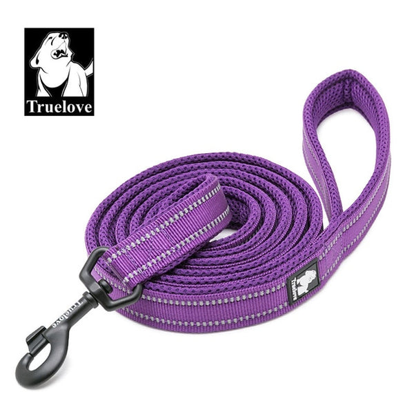 Nylon Reflective Leash