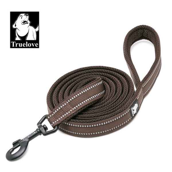 Nylon Reflective Leash