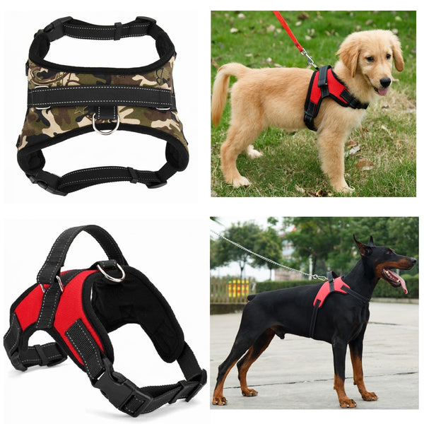 Superdog Dog Harness