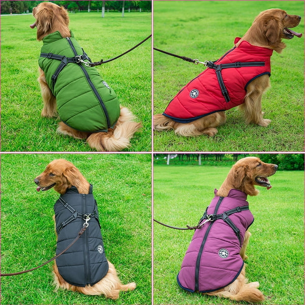 Winter Jacket With Harness
