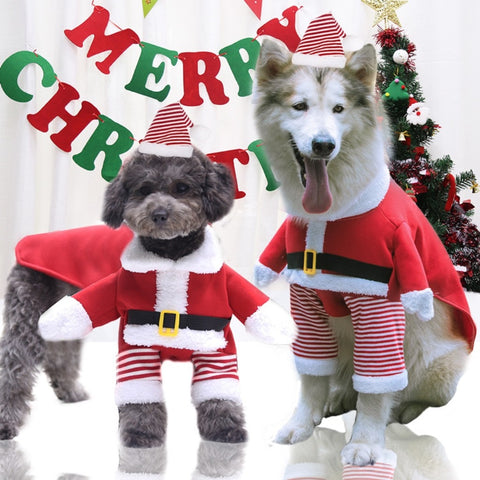 Christmas Santa Dog Costume