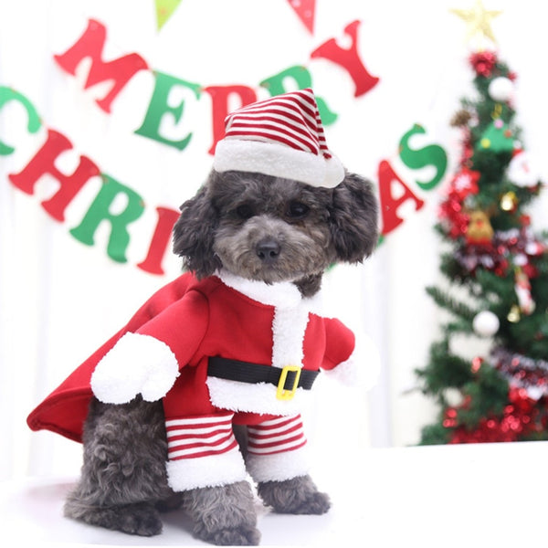 Christmas Santa Dog Costume