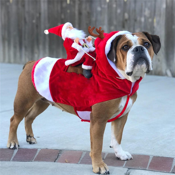 Santa Claus Riding a Reindeer Costume