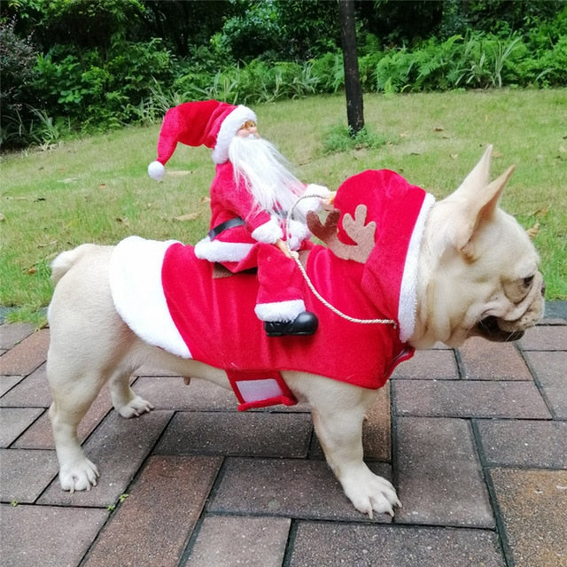 Santa Claus Riding a Reindeer Costume